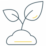 Nachhaltigkeit und Umweltaspekte